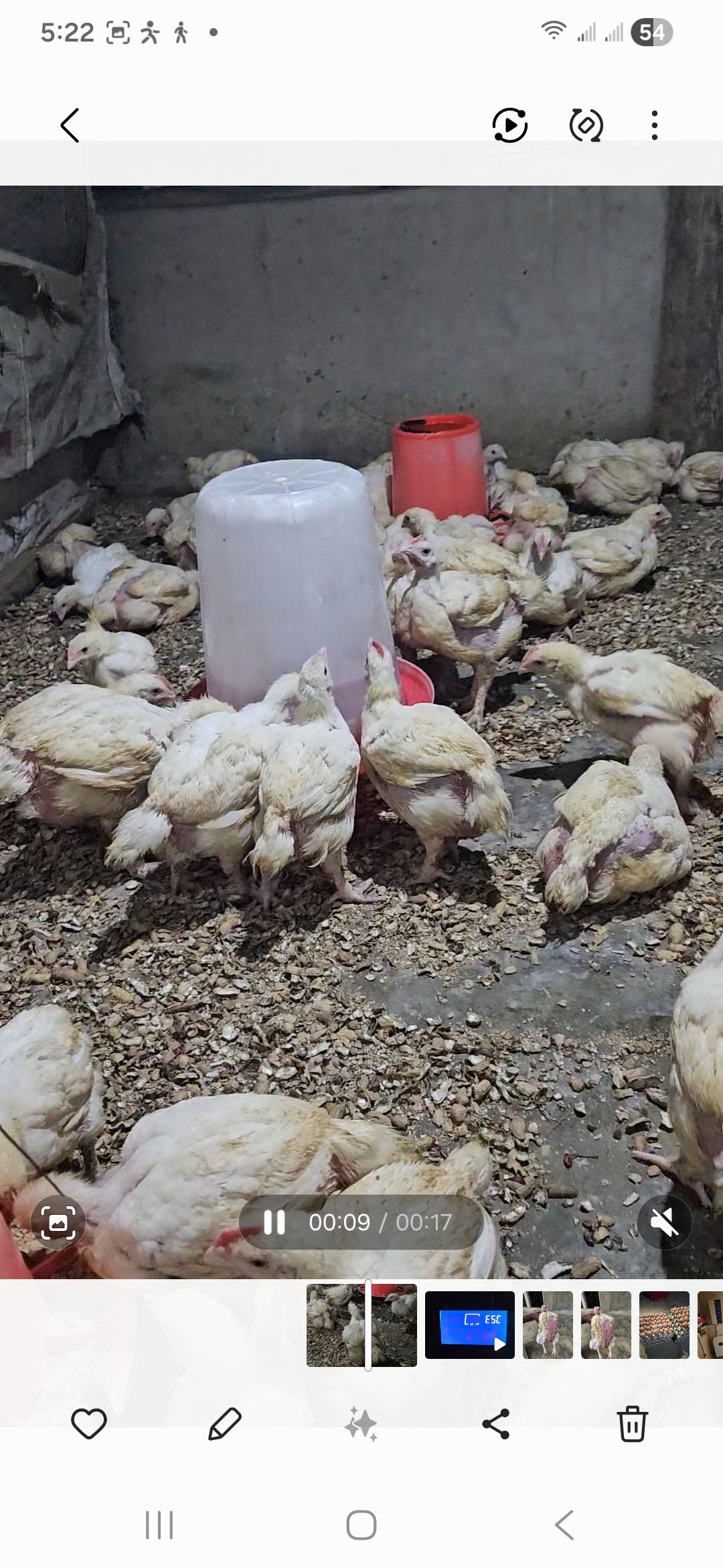 Broilers